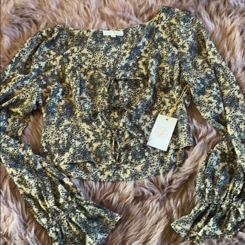 Backyard roses top